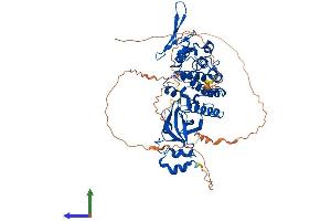 AlphaFold protein structure predicition of Human Recombinant DYRK2 Protein, UniprotID Q92630