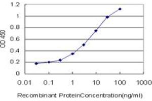 Detection limit for recombinant GST tagged OXSR1 is approximately 0.