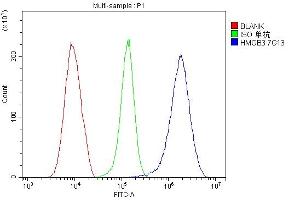 Flow Cytometry analysis of Hela cells using anti-HMGB3 antibody (ABIN7603126). (HMGB3 anticorps  (N-Term))