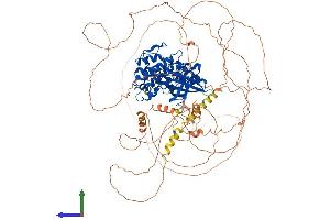 AlphaFold protein structure predicition of Human Recombinant AAK1 Protein, UniprotID Q2M2I8
