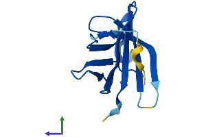 AlphaFold protein structure predicition of Human Recombinant TCL1A Protein, UniprotID P56279