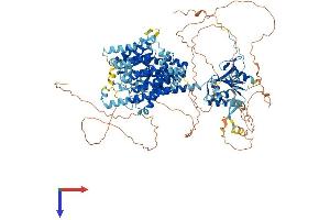 AlphaFold protein structure predicition of Mouse Recombinant Slc26a8 Protein, UniprotID Q8R0C3