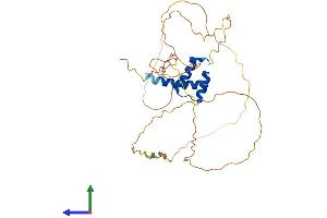 AlphaFold protein structure predicition of Mouse Recombinant Hoxc13 Protein, UniprotID P50207
