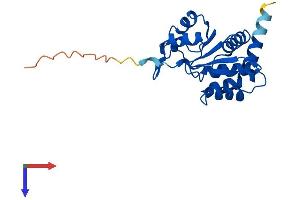 AlphaFold protein structure predicition of Human Recombinant CDKN3 Protein, UniprotID Q16667