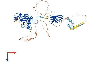 AlphaFold protein structure predicition of Mouse Recombinant Ebf2 Protein, UniprotID O08792