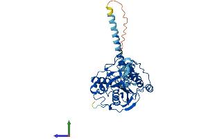 AlphaFold protein structure predicition of Human Recombinant B4GALT6 Protein, UniprotID Q9UBX8