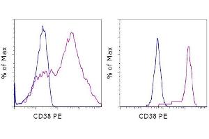 Flow Cytometry (FACS) image for anti-CD38 antibody (PE) (ABIN2144870) (CD38 anticorps  (PE))