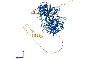 AlphaFold protein structure predicition of Human Recombinant PLK3 Protein, UniprotID Q9H4B4