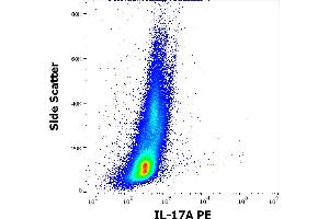 Flow cytometry intracellular staining pattern of PHA stimulated and Brefeldin A treated human peripheral whole blood stained using anti-human IL-17A (9F9) PE antibody (10 μL reagent / 100 μL of peripheral whole blood). (Interleukin 17a anticorps  (PE))