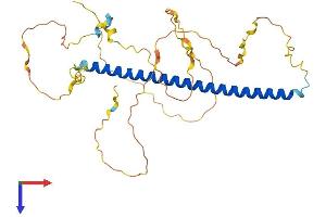 AlphaFold protein structure predicition of Mouse Recombinant Fosl2 Protein, UniprotID P47930