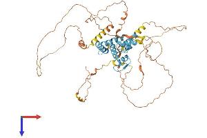 AlphaFold protein structure predicition of Human Recombinant ZSCAN18 Protein, UniprotID Q8TBC5