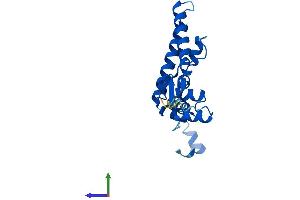 AlphaFold protein structure predicition of Mouse Recombinant Imp3 Protein, UniprotID Q921Y2