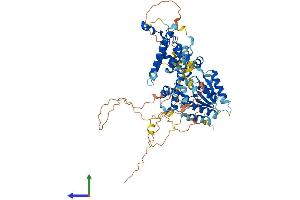 AlphaFold protein structure predicition of Human Recombinant RAD17 Protein, UniprotID O75943