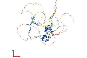 AlphaFold protein structure predicition of Human Recombinant MIER3 Protein, UniprotID Q7Z3K6