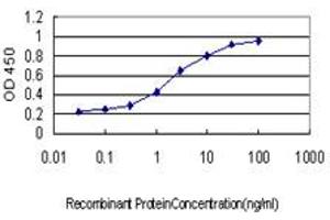 Detection limit for recombinant GST tagged F12 is approximately 0. (F12 anticorps  (AA 191-300))