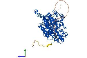 AlphaFold protein structure predicition of Human Recombinant DPYSL5 Protein, UniprotID Q9BPU6