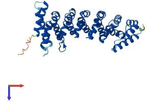 AlphaFold protein structure predicition of Human Recombinant CAB39L Protein, UniprotID Q9H9S4