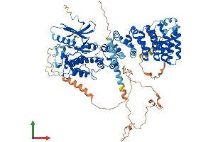 AlphaFold protein structure predicition of Human Recombinant SCYL1 Protein, UniprotID Q96KG9