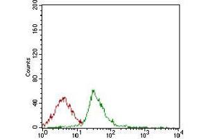 Flow cytometric analysis of Jurkat cells using CD74 mouse mAb (green) and negative control (red).