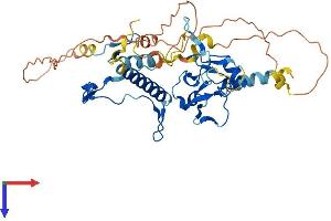 AlphaFold protein structure predicition of Mouse Recombinant Dpf1 Protein, UniprotID Q9QX66