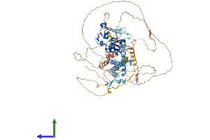 AlphaFold protein structure predicition of Mouse Recombinant Jade2 Protein, UniprotID Q6ZQF7