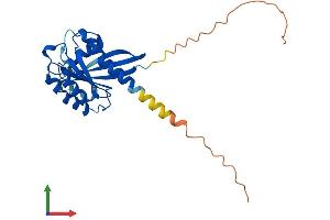 AlphaFold protein structure predicition of Mouse Recombinant Rab33a Protein, UniprotID P97950