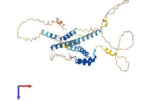 AlphaFold protein structure predicition of Mouse Recombinant Meis3 Protein, UniprotID P97368
