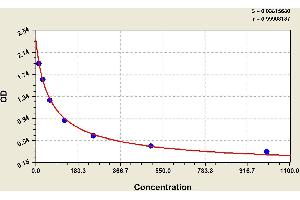 ELISA image for Amyloid beta 1-42 (Abeta 1-42) ELISA Kit (ABIN1118192) (Abeta 1-42 Kit ELISA)