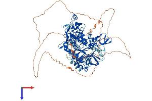 AlphaFold protein structure predicition of Human Recombinant DNMT3B Protein, UniprotID Q9UBC3