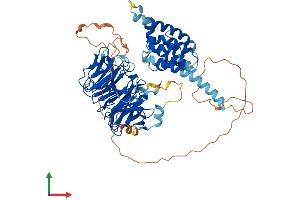 AlphaFold protein structure predicition of Mouse Recombinant Katnb1 Protein, UniprotID Q8BG40