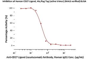 Serial dilutions of A Ligand (cusatuzumab) Antibody, Human IgG1 were added into Human CD27 Ligand, His,Flag Tag (active trimer) (MALS verified) (ABIN6951037,ABIN6952264) : Biotinylated Human CD27, Fc,Avitag (ABIN4949011,ABIN4949012) binding reactions.