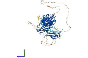 AlphaFold protein structure predicition of Human Recombinant MELK Protein, UniprotID Q14680