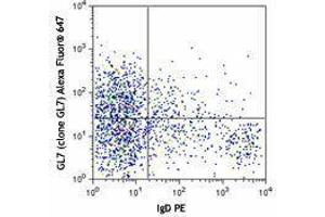 anti-T and B cell Activation Marker antibody (Alexa Fluor 647)