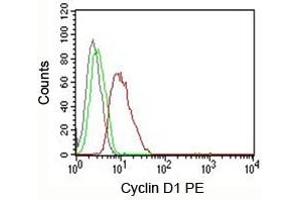 FACS testing of MCF-7 cells: Black=cells alone (Cyclin D1 anticorps)