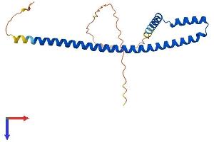 AlphaFold protein structure predicition of Human Recombinant TLE5 Protein, UniprotID Q08117