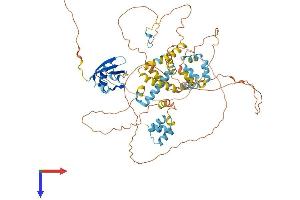 AlphaFold protein structure predicition of Human Recombinant UBQLN3 Protein, UniprotID Q9H347