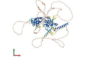 AlphaFold protein structure predicition of Mouse Recombinant Sim1 Protein, UniprotID Q61045