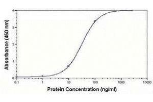 ELISA image for anti-Low Density Lipoprotein (LDL) antibody (ABIN2467932) (LDL anticorps)