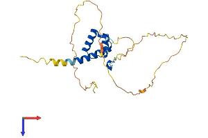 AlphaFold protein structure predicition of Mouse Recombinant Hoxb6 Protein, UniprotID P09023