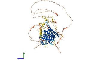 AlphaFold protein structure predicition of Human Recombinant PATL1 Protein, UniprotID Q86TB9