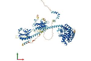 AlphaFold protein structure predicition of Mouse Recombinant Pde5a Protein, UniprotID Q8CG03