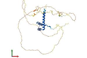 AlphaFold protein structure predicition of Human Recombinant HOXC10 Protein, UniprotID Q9NYD6