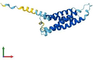 AlphaFold protein structure predicition of Mouse Recombinant Marveld1 Protein, UniprotID Q7TQJ1
