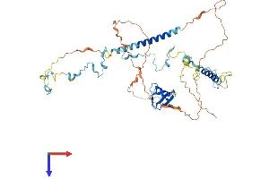 AlphaFold protein structure predicition of Human Recombinant HCLS1 Protein, UniprotID P14317
