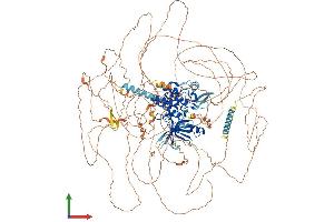AlphaFold protein structure predicition of Human Recombinant AATK Protein, UniprotID Q6ZMQ8