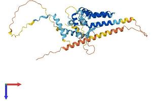 AlphaFold protein structure predicition of Mouse Recombinant Eid3 Protein, UniprotID Q3V124