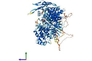 AlphaFold protein structure predicition of Human Recombinant TYK2 Protein, UniprotID P29597