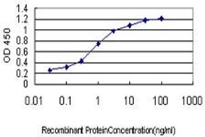 Detection limit for recombinant GST tagged TAF1L is approximately 0.