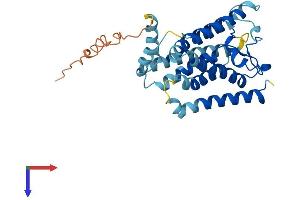 AlphaFold protein structure predicition of Mouse Recombinant Rhbdl2 Protein, UniprotID A2AGA4