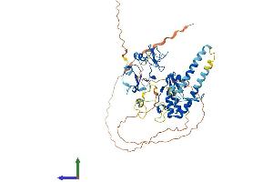 AlphaFold protein structure predicition of Mouse Recombinant Phf10 Protein, UniprotID Q9D8M7